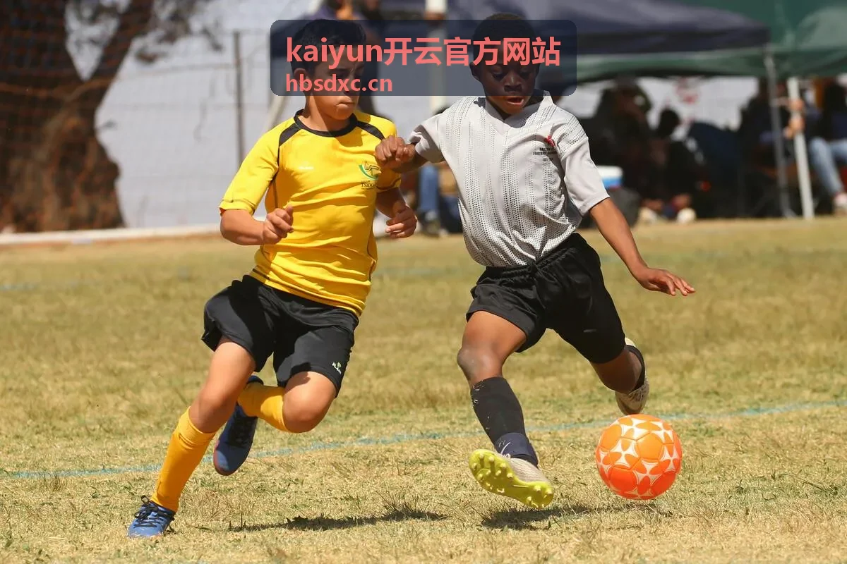 kaiyun开云官方网站迁移实施沟通与方案确认